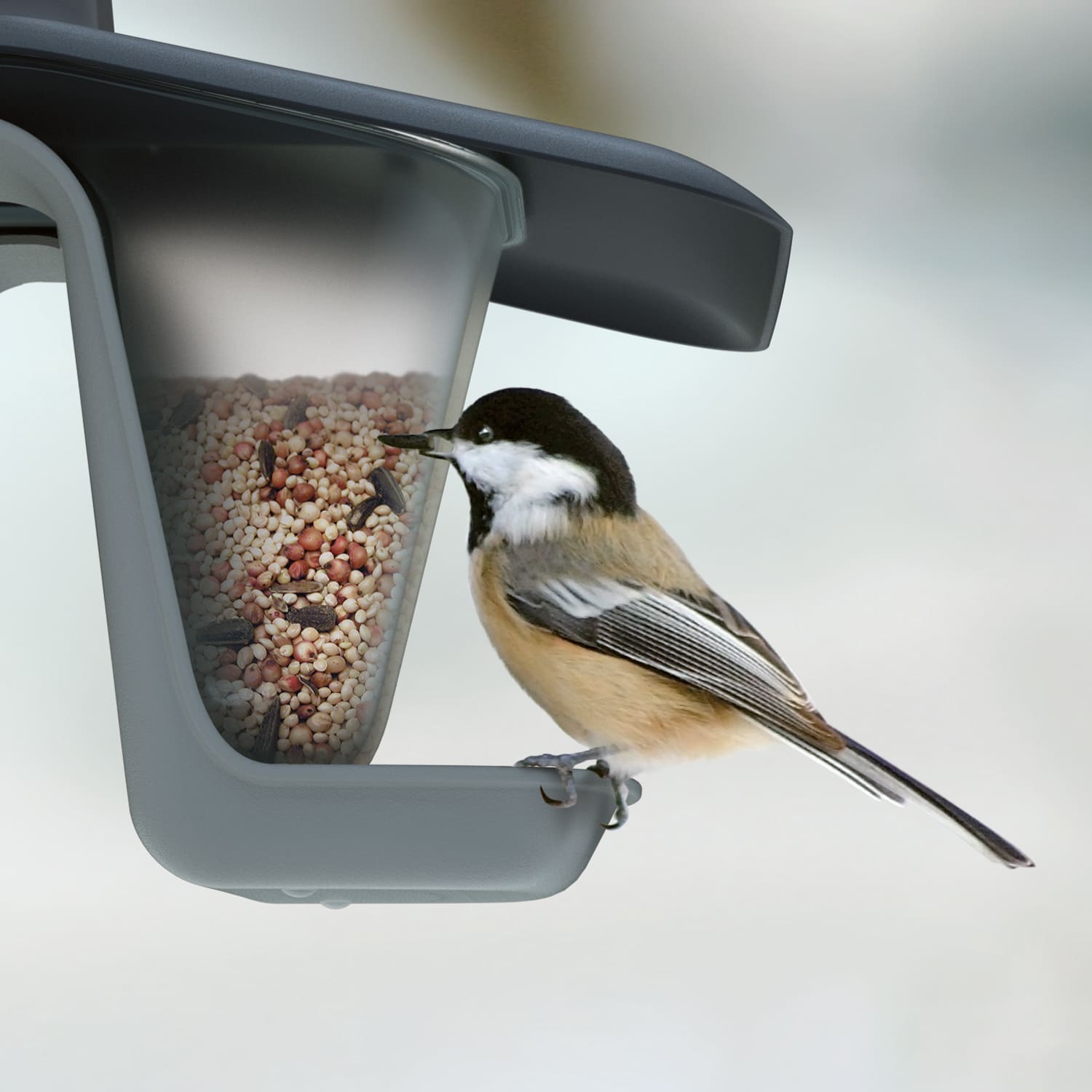 Vogelfutterstelle mit doppelter Kammer