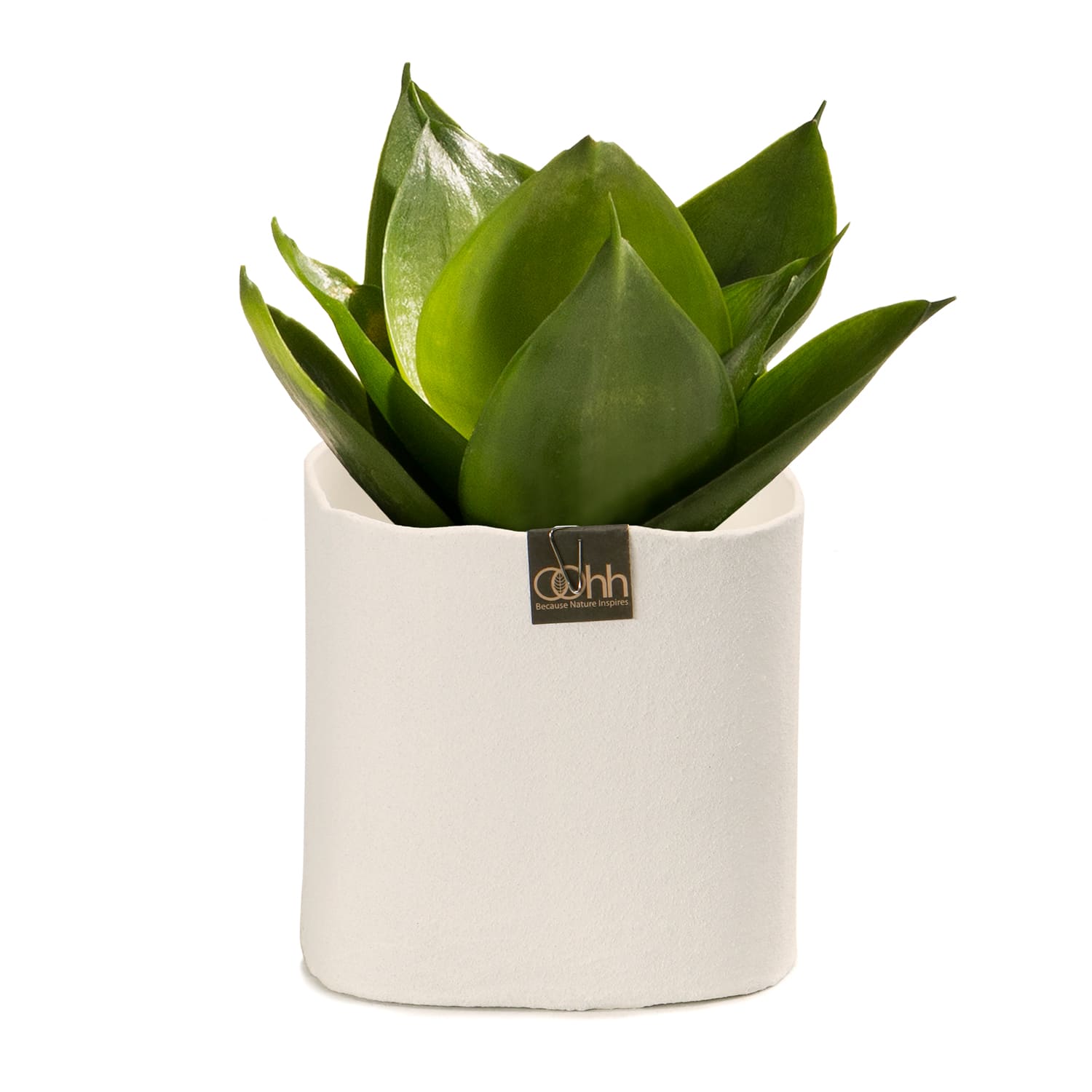 Quadratischer Blumentopf  OOhh-Design Blumentopf aus Naturmaterialien mit abgerundeten Ecken